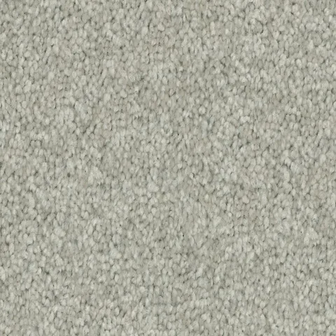 Argent carpet swatch